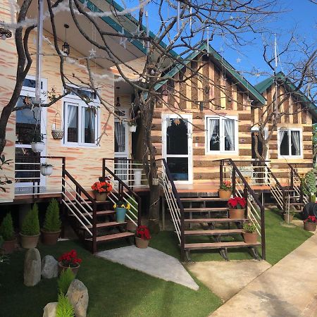 Pine Tree Homestay 달랏 외부 사진