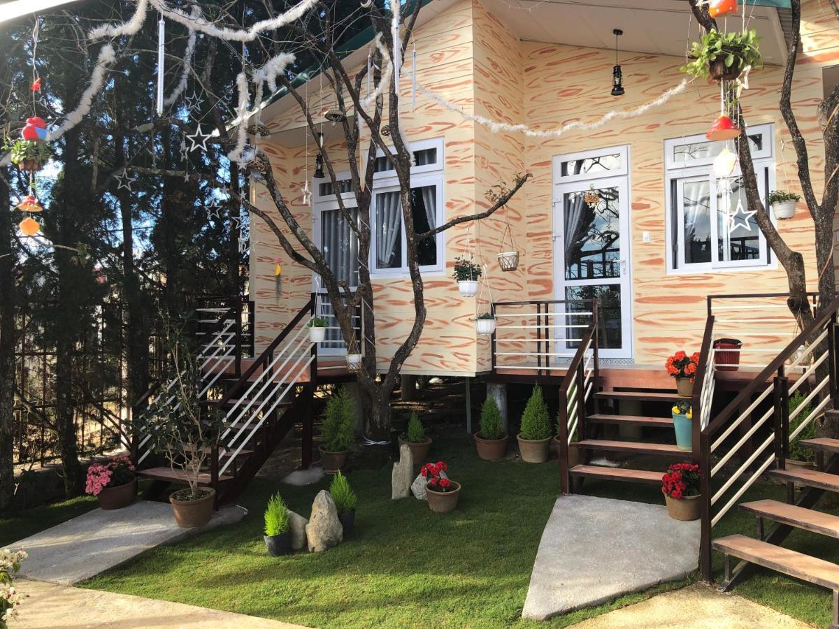 Pine Tree Homestay 달랏 외부 사진